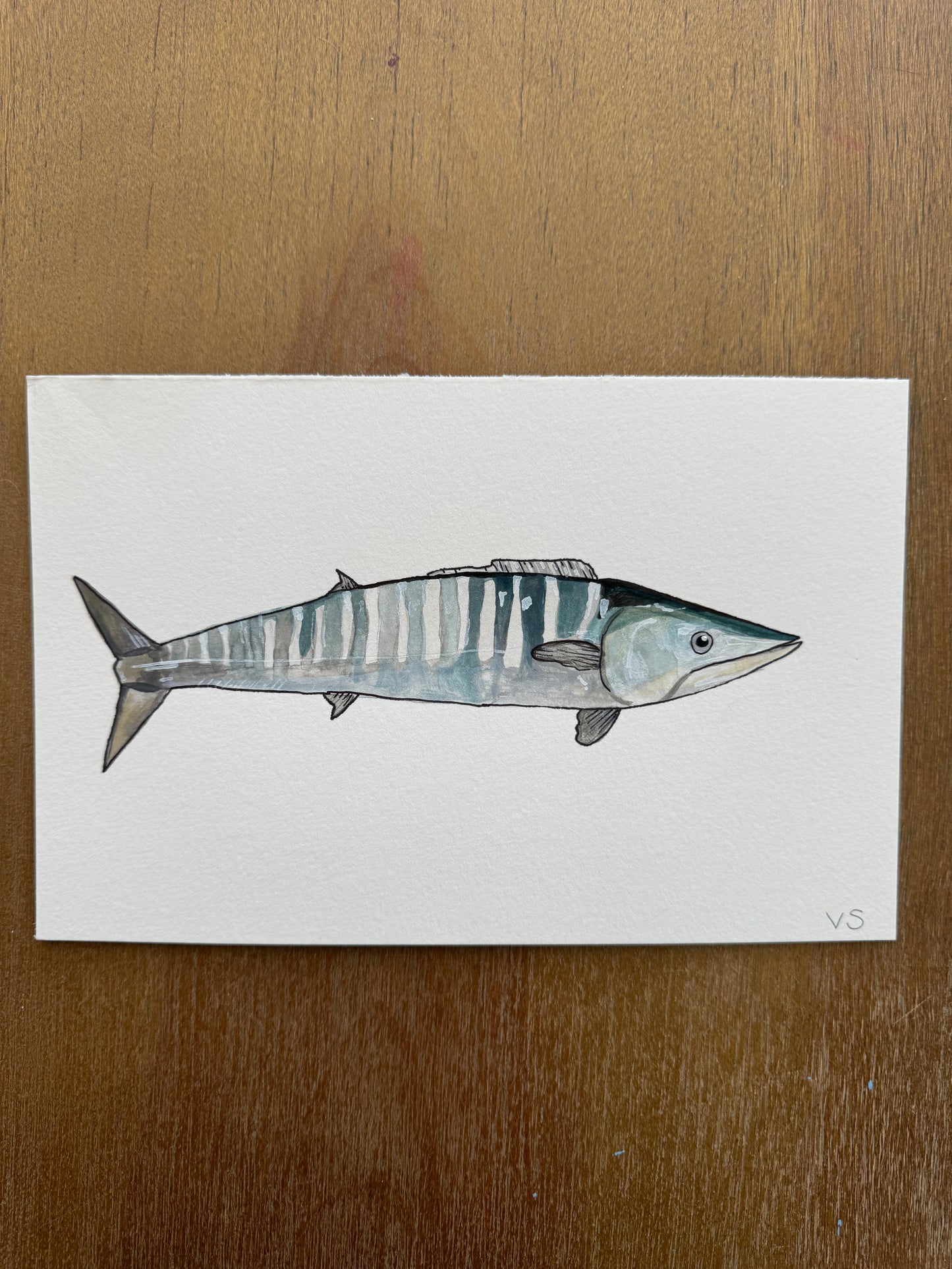 Wahoo