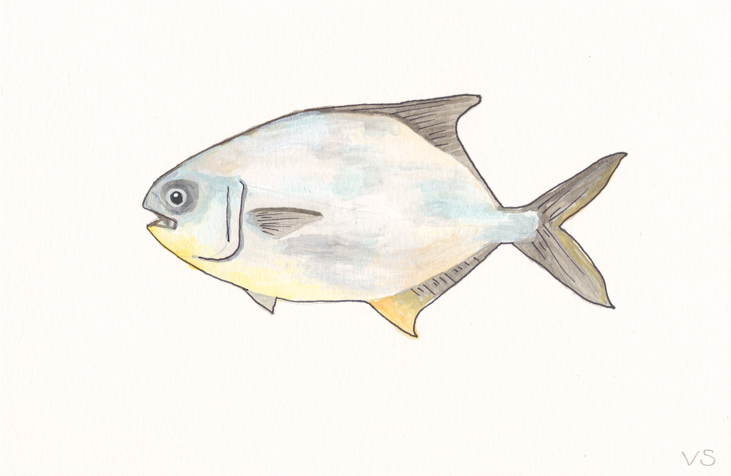 Pompano