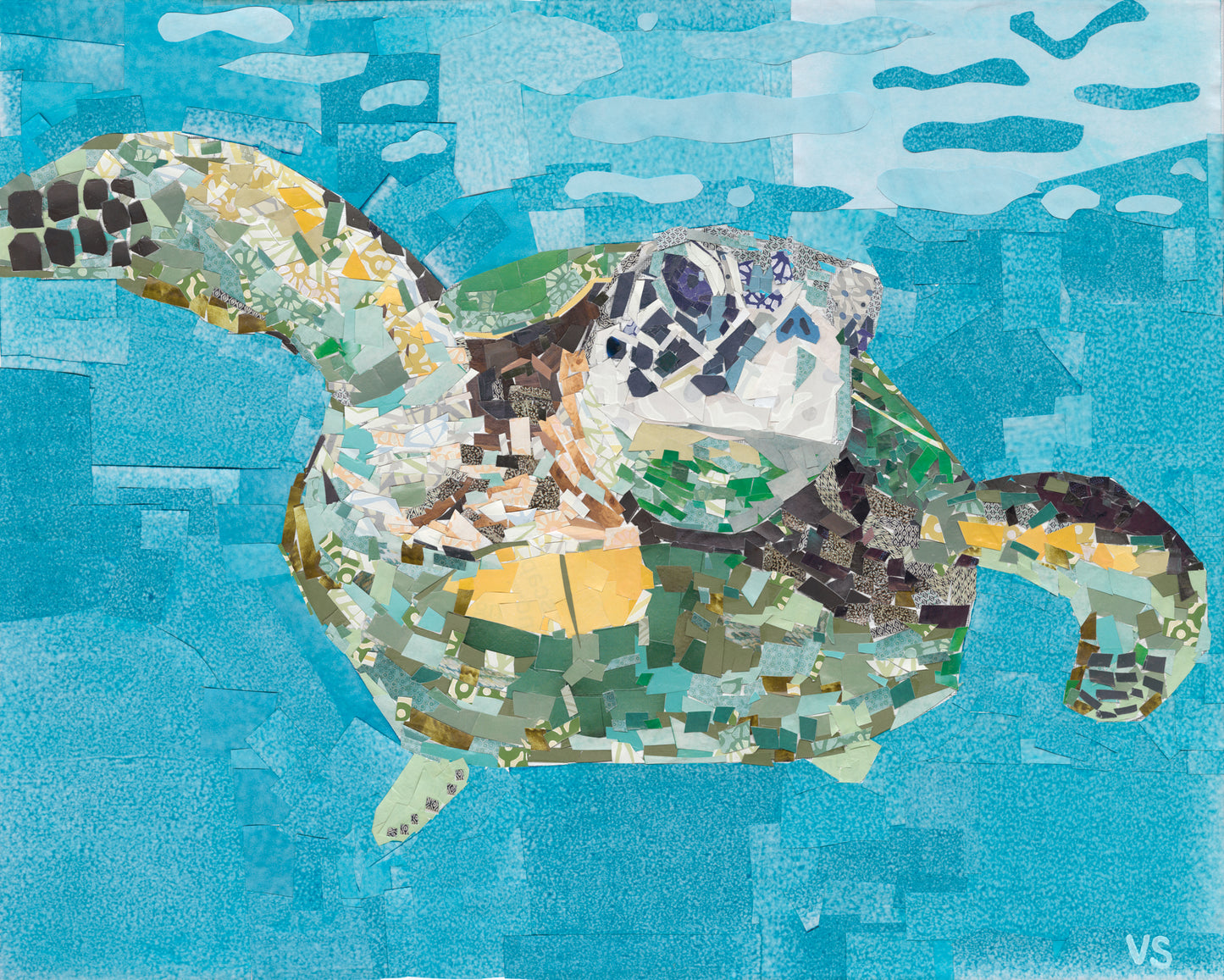 Sea turtle