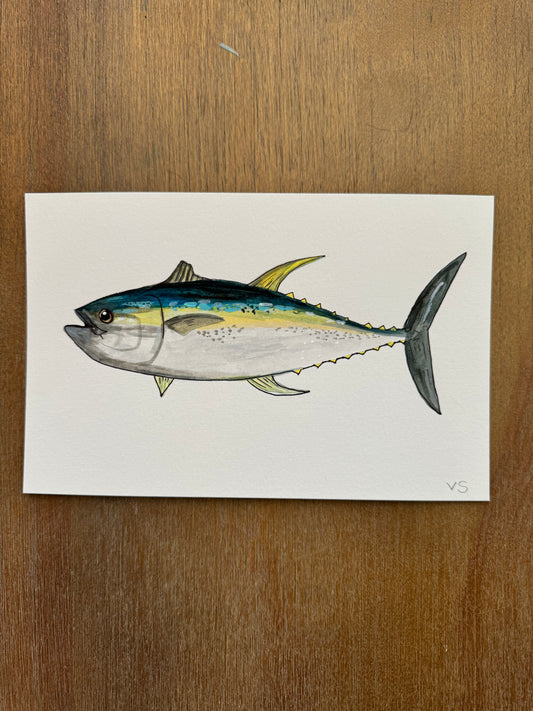 Yellowfin Tuna